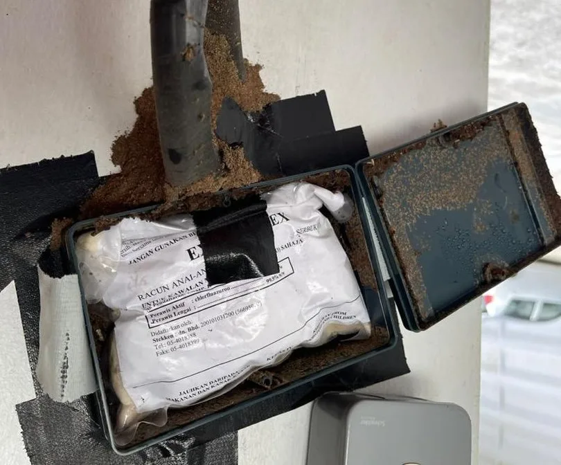 Before: a termite bait station with a mud trail running down the wall